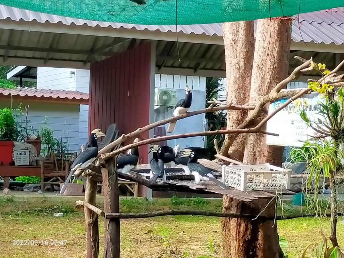 קו פאיאם Eco Bungalow מראה חיצוני תמונה